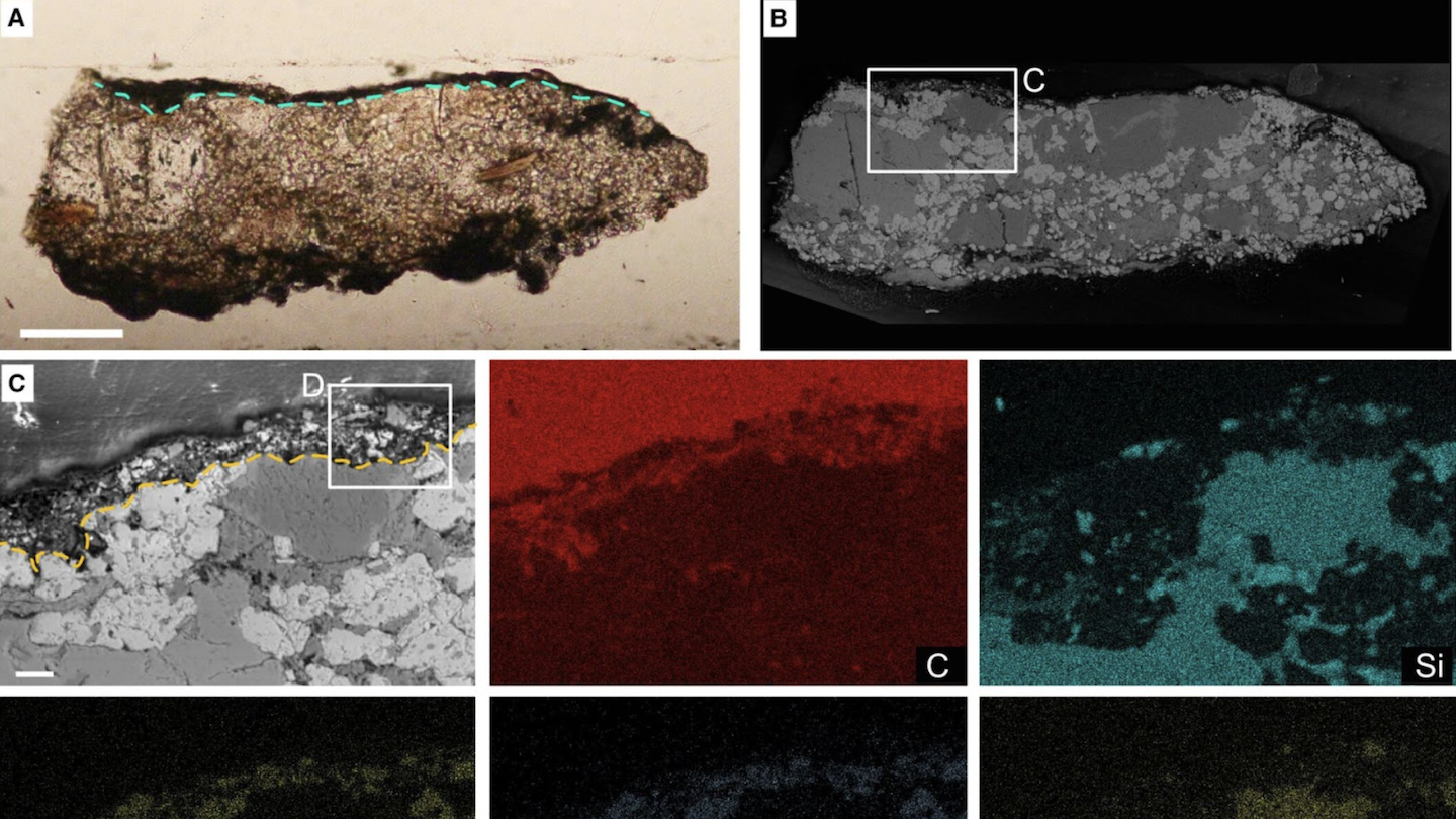 This composite image showcases a series of microscopic analyses of a fossilized specimen. In panel A, there is a side view of a fossilized object with a dashed line indicating a section plane. Panel B features a grayscale image highlighting the internal structure of the specimen. Panel C is a close-up of the fossil's texture, and additional images show elemental composition with color-coded areas representing different elements